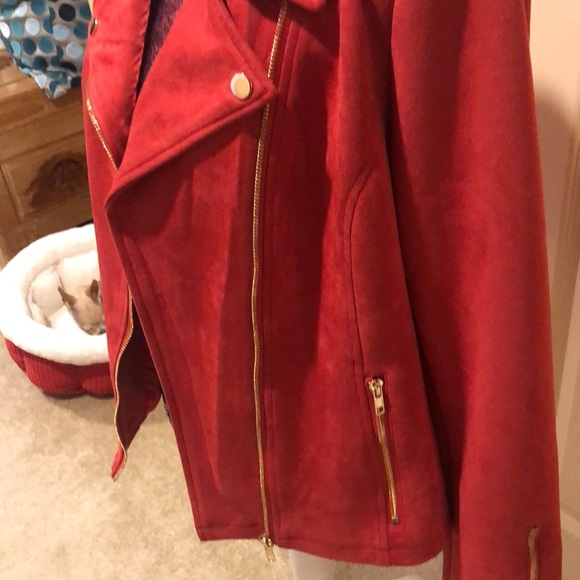 Jacket - Picture 5 of 9